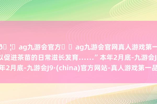 🦄ag九游会官方⚽ag九游会官网真人游戏第一品牌实力正规平台以促进茶苗的日常滋长发育……”本年2月底-九游会J9·(china)官方网站-真人游戏第一品牌