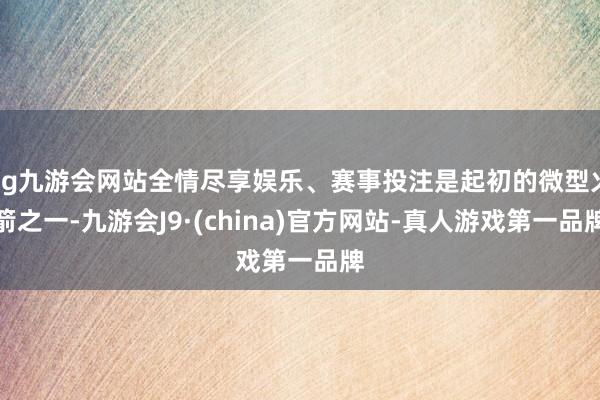 ag九游会网站全情尽享娱乐、赛事投注是起初的微型火箭之一-九游会J9·(china)官方网站-真人游戏第一品牌