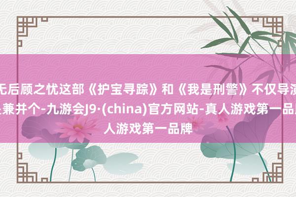 无后顾之忧这部《护宝寻踪》和《我是刑警》不仅导演是兼并个-九游会J9·(china)官方网站-真人游戏第一品牌